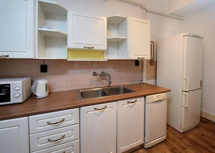 Spacious Basic In The Center * Budapesta