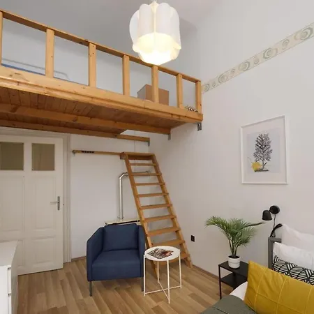 Spacious Basic In The Center * Budapest